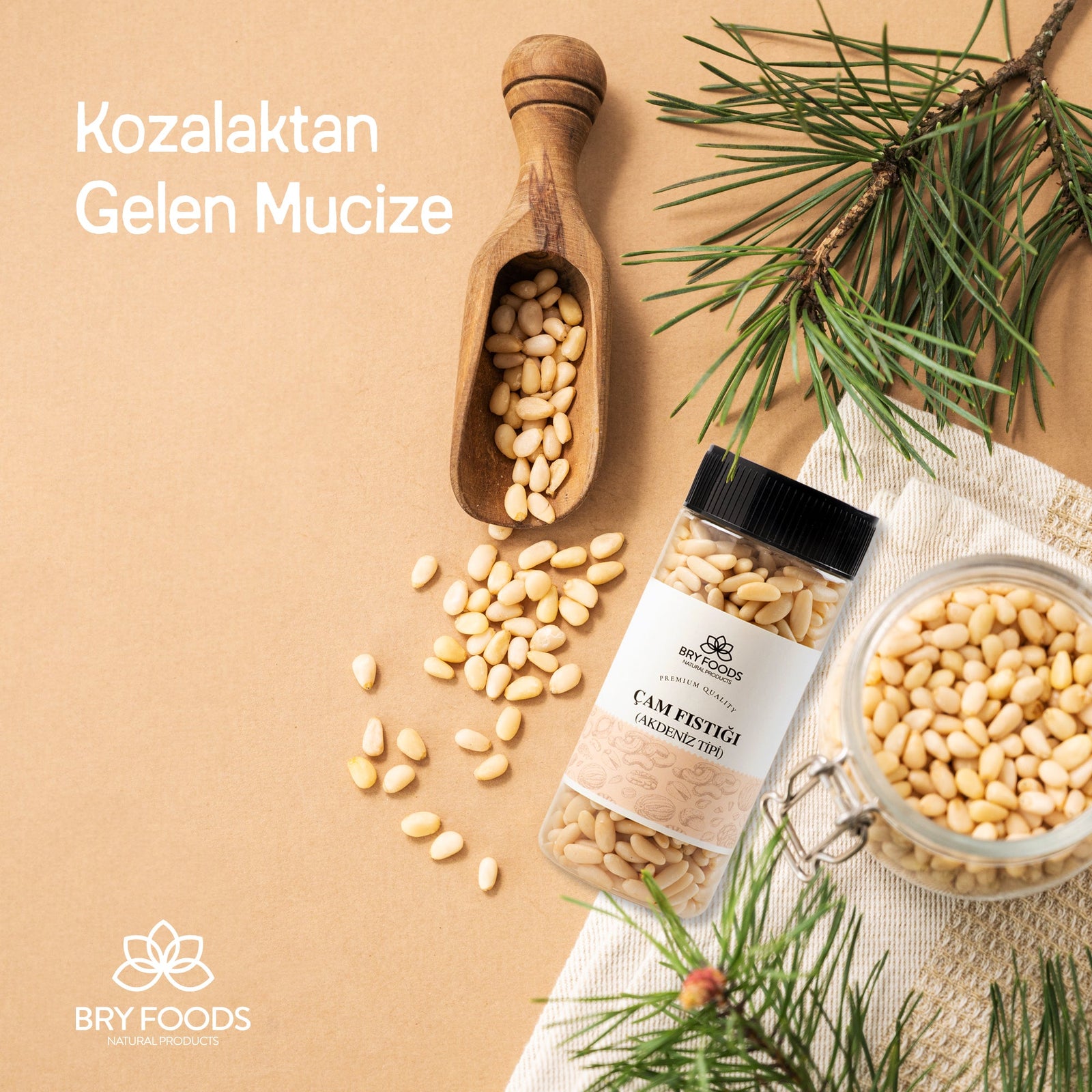 Kozalaktan Gelen Mucize; Çam Fıstığı - BRY Foods